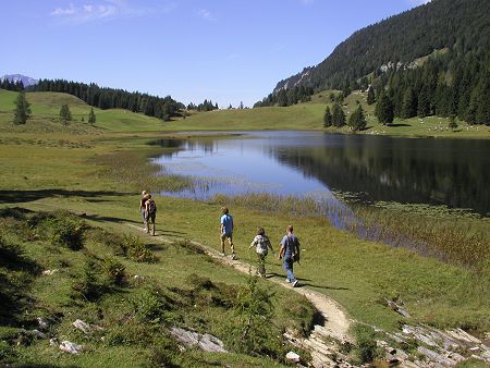 Am Weg rund um den Seewaldsee