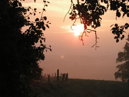 Morgenstimmung in Weikersdorf