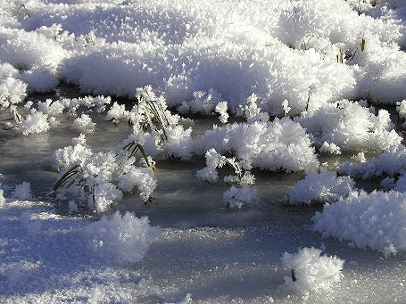 Seewaldsee Schneekristalle