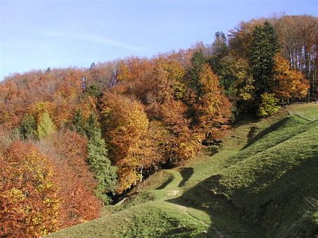 Mehlsteig