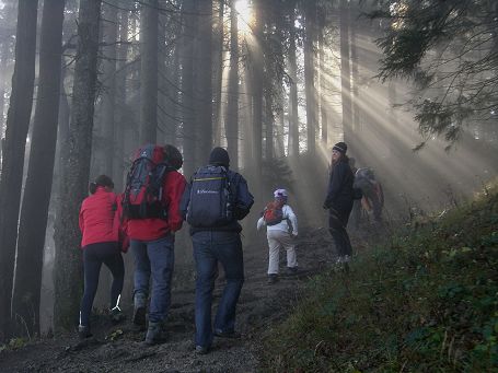 Firmenwandertag