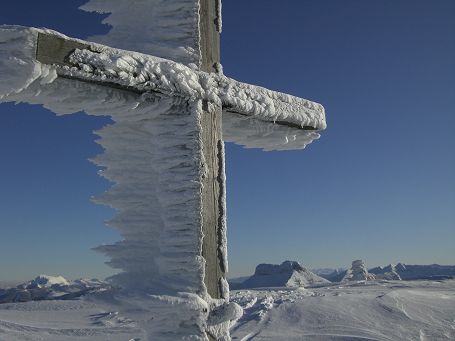 Eisbart am Gipfelkreuz des Schlenkens