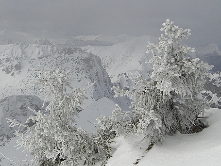 Blick zum Braunedelkopf