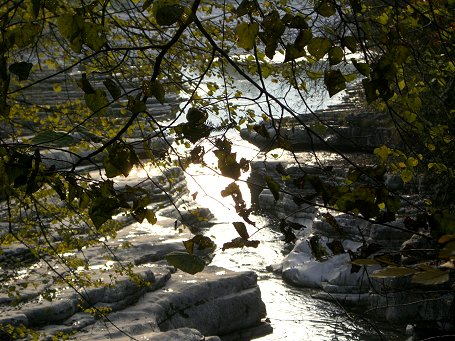 herbstlauf_06_web