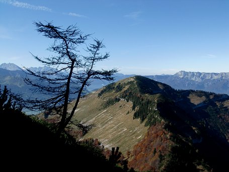 Herbstwanderung_2010_27_Web