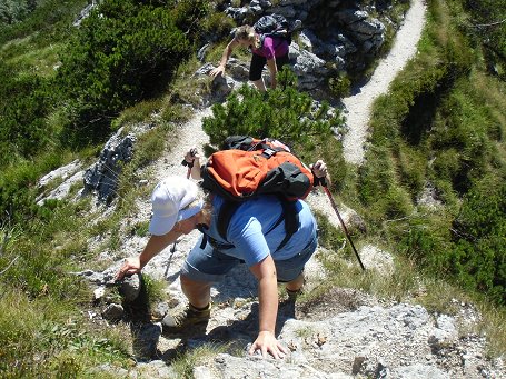 Scheibenkaser