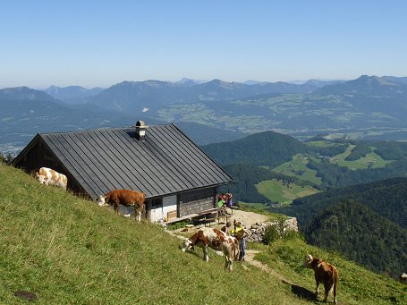 Scheibenkaser