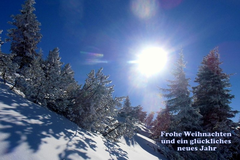 Frohe Weihnachten