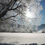 Winterzauber am Hintersee