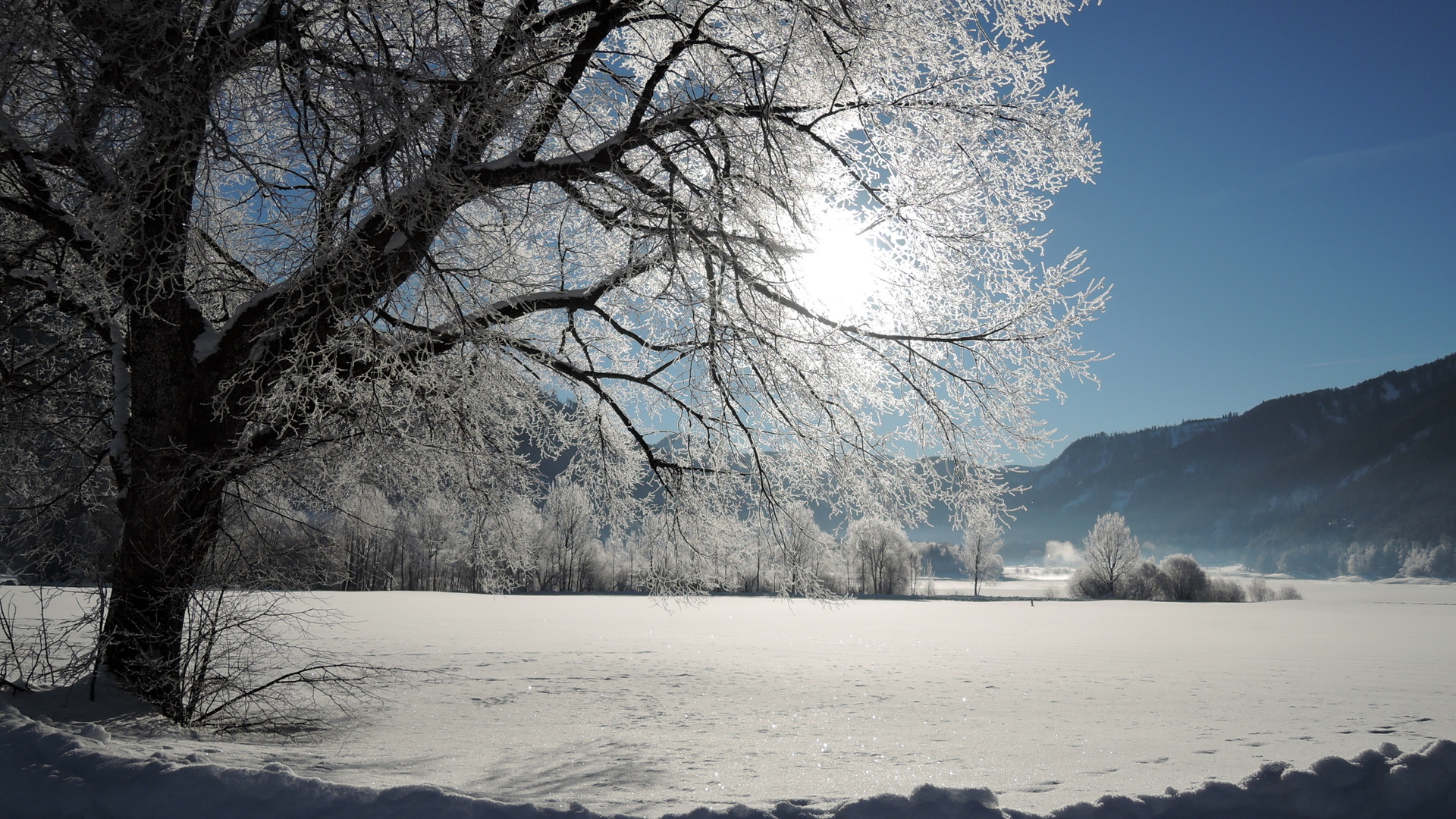 Winterzauber am Hintersee