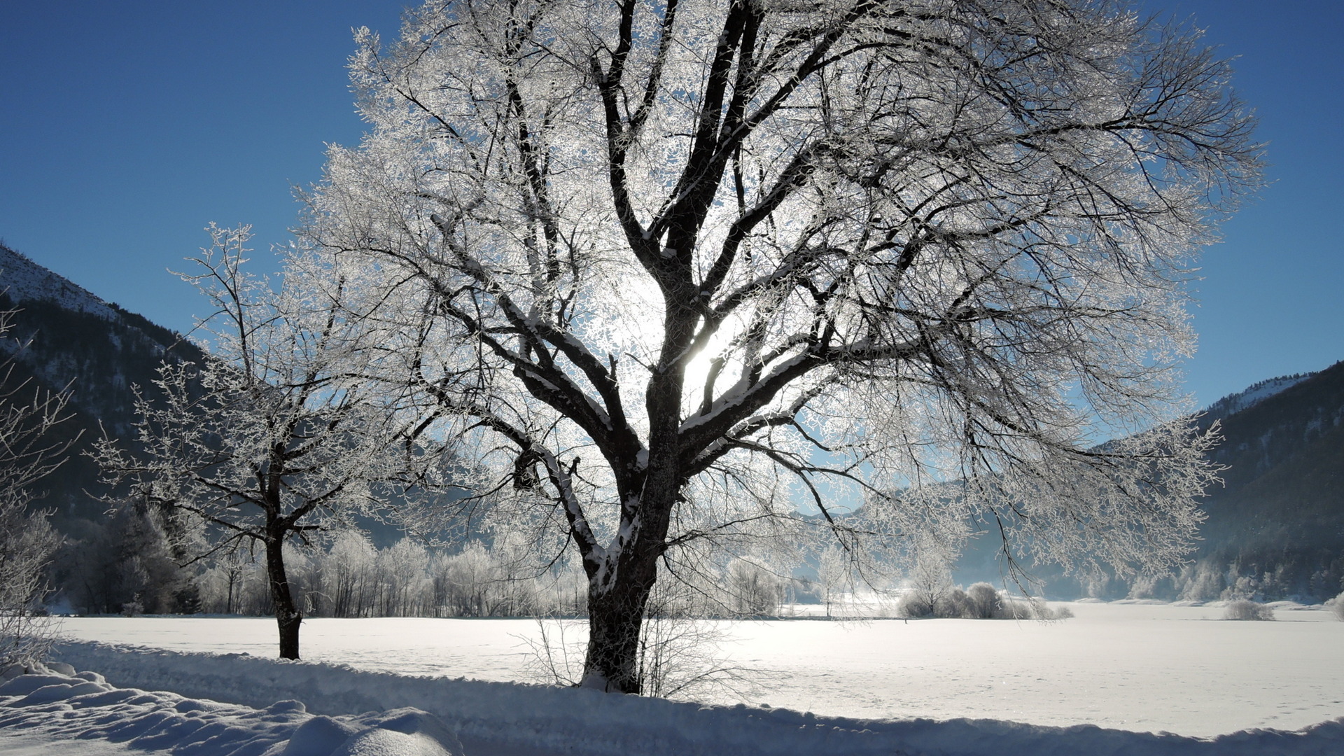 Winterzauber am Hintersee